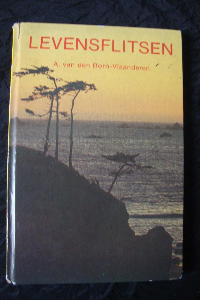 LEVENSFLITSEN door A van den Born-Vlaanderen, Ophalen of Verzenden, Gelezen