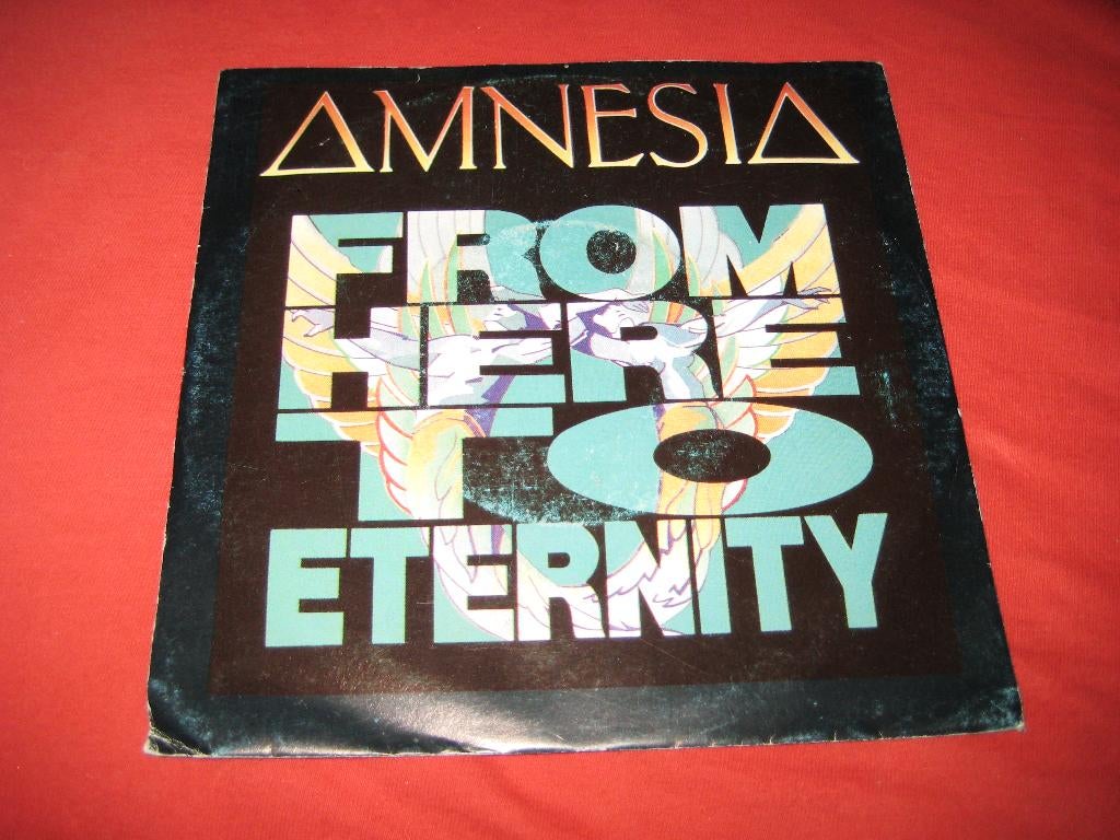 Amnesia: From here to eternity, Cd's en Dvd's, Ophalen of Verzenden, Zo goed als nieuw, Single
