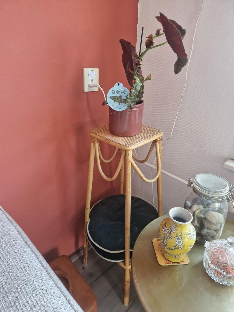 Rotan plantenstandaard met twee niveaus, Ophalen