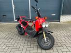 Honda Zoomer NPS50 Rood technisch nieuw, Ophalen, Gebruikt, Overige modellen, Maximaal 45 km/u