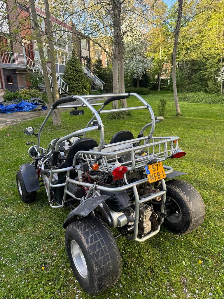 PGO Buggy 2010, Motoren, 1 cilinder, 11 kW of minder