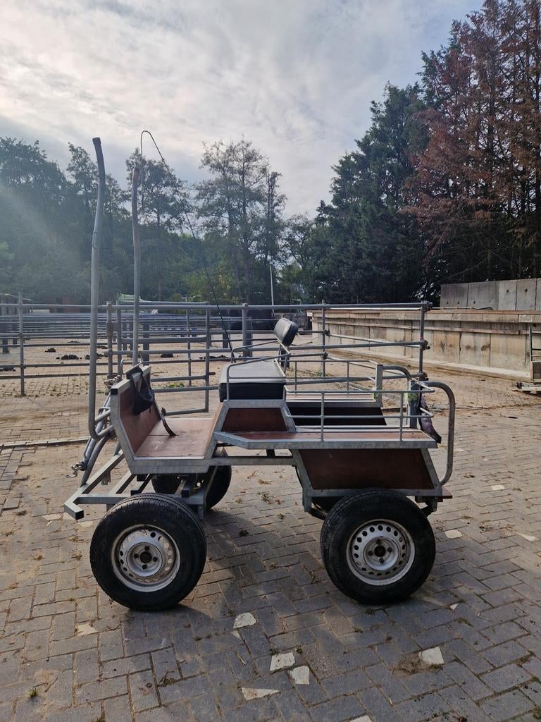Menwagen pony, Dieren en Toebehoren, Ophalen, Gebruikt