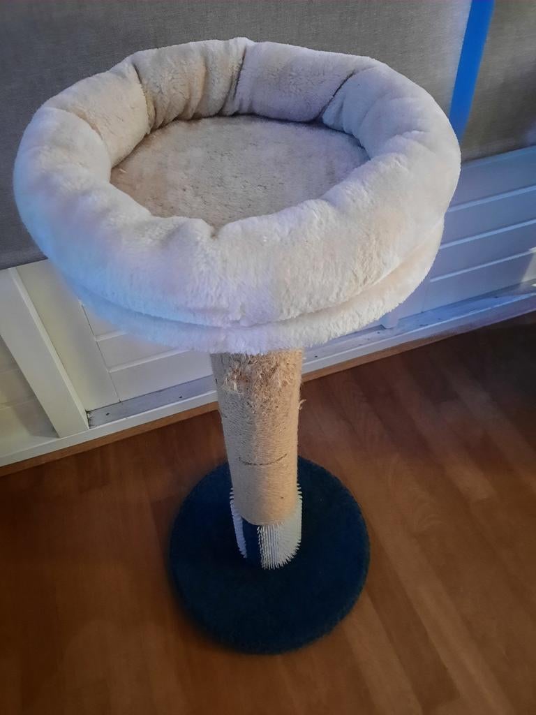 Kattenkrap paal, Ophalen
