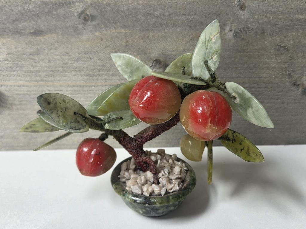 Natuurstenen boompje, Ophalen of Verzenden, Minder dan 100 cm, Vijgenboom