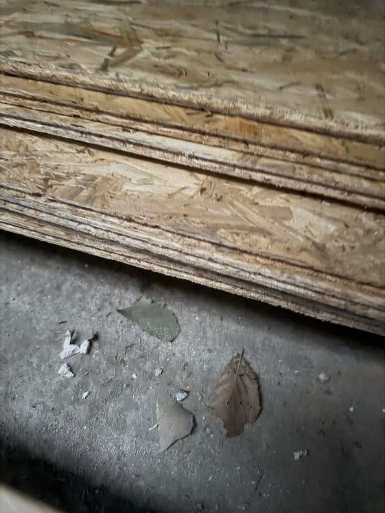 OSB platen 590x2440x12mm - 6 stuks gratis afhalen, Doe-het-zelf en Verbouw, Platen en Panelen, Ophalen, Gebruikt, Hout, Minder dan 20 mm