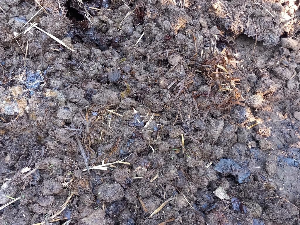 Oude stalmest met stro / tuin compost jaar oud, Ophalen, Tuinaarde