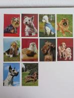 Set van 10 vintage ansichtkaarten met honden, Ophalen of Verzenden, 1960 tot 1980, Ongelopen, Hond of Kat