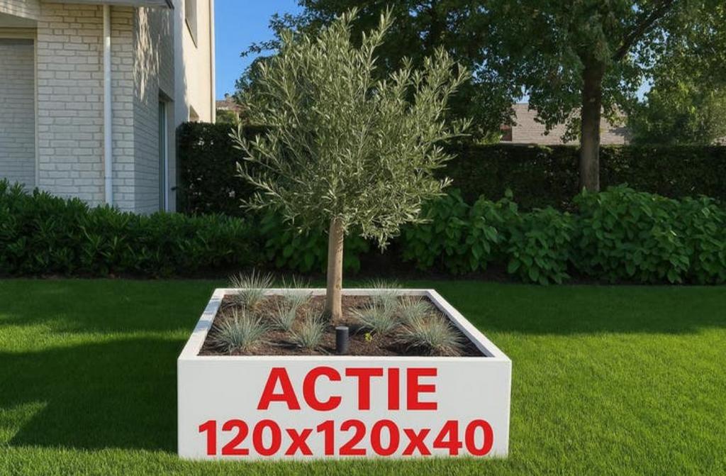 ACTIE! Stalen Plantenbak 120x120x40 cm – Nu voor €185!, Tuin en Terras, Bloembakken en Plantenbakken, Info@plantenbakkenvanstaal.nl