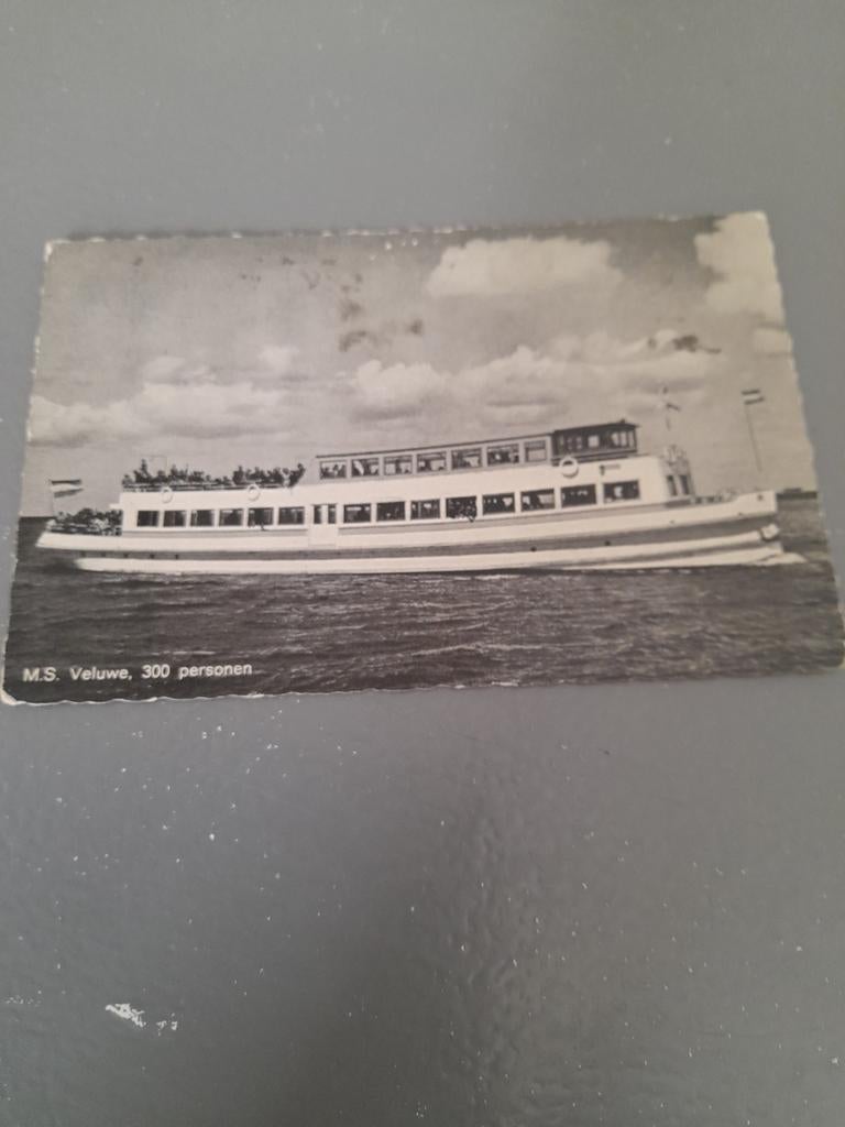 M.S. Veluwe, Ophalen of Verzenden, Kaart, Foto of Prent