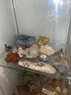 Diverse collectie stenen, mineralen en fossielen, Verzamelen, Mineralen en Fossielen, Ophalen of Verzenden, Fossiel