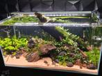 Oase ScaperLine 100 + Juwel Rio + JBL Filter + Chihiros LED, Ophalen of Verzenden, Zo goed als nieuw, Leeg aquarium