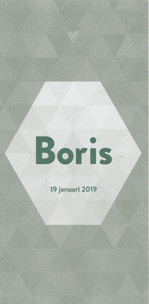 Boris, Ophalen of Verzenden, 2000 tot heden, Geboortekaartje