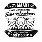 Scharrelvlees van Duroc varken – binnenkort beschikbaar, Mannelijk, Schaap