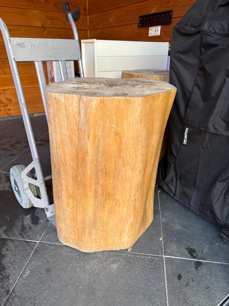 2 robuuste boomstammen uit Indonesië - decoratief, Ophalen, Hout, Gebruikt, Landelijk