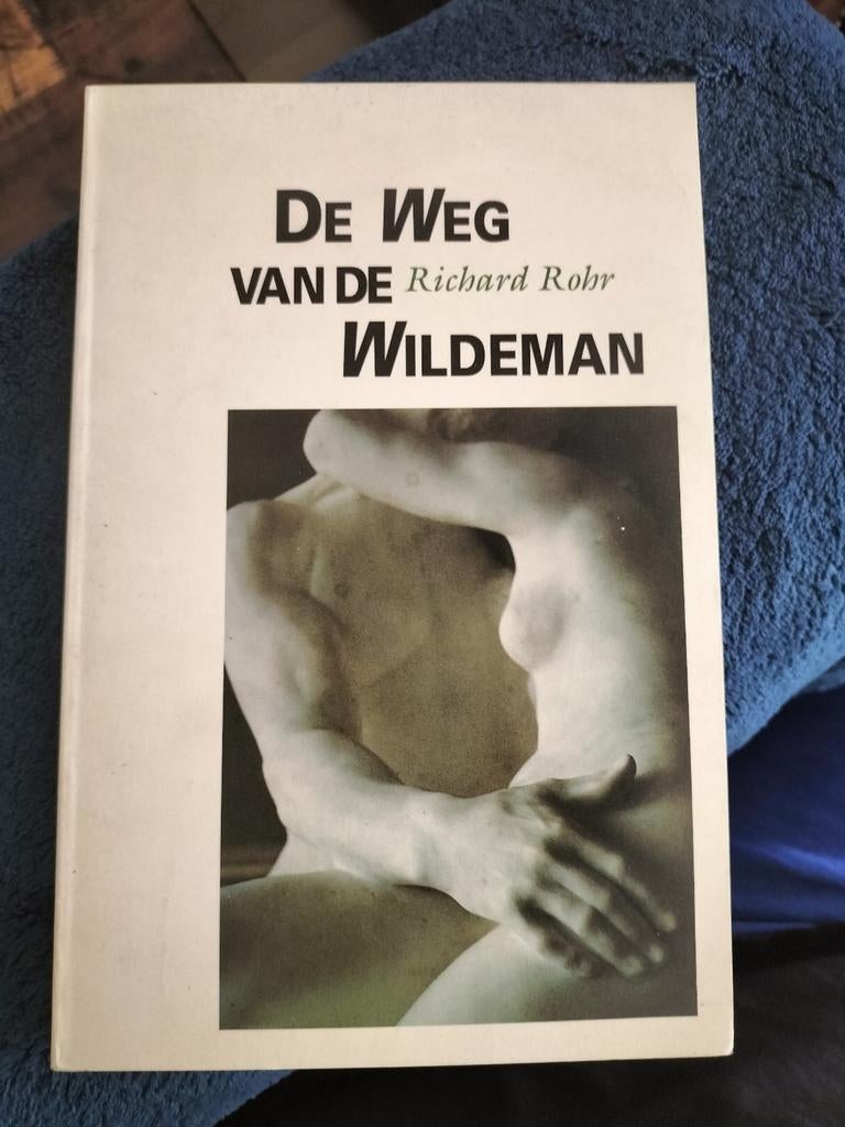 De Weg van de Wildeman - Richard Rohr, Boeken, Verzenden