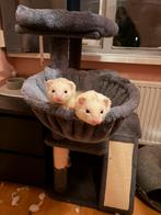 2 lieve fretten, Mei, Mannelijk