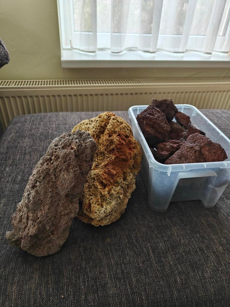 Lavastenen voor BBQ, aquarium eof vijver., Ophalen of Verzenden, Plant(en), Steen of Hout