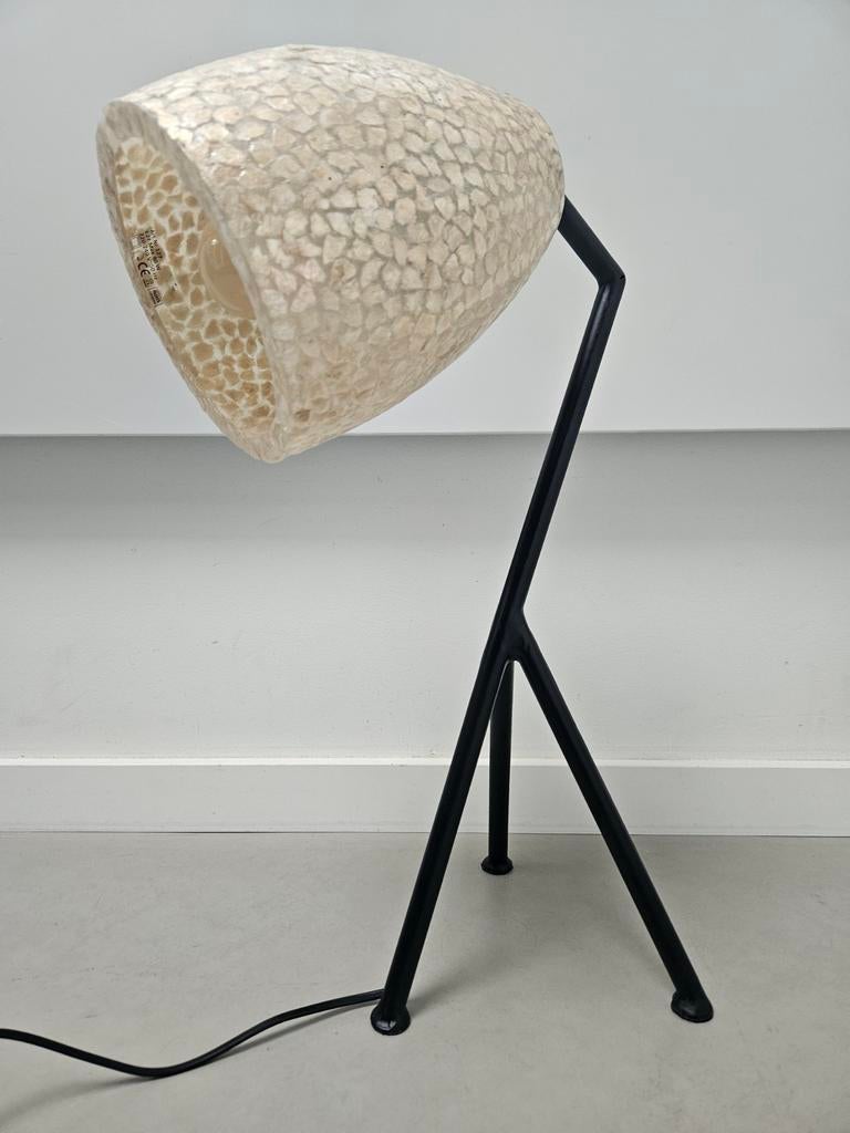 Grasshopper Schelpenlamp Tafellamp, Huis en Inrichting, Ophalen of Verzenden, 50 tot 75 cm