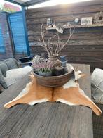 Geiten vel, Ophalen, Zo goed als nieuw, Rechthoekig, 50 tot 100 cm