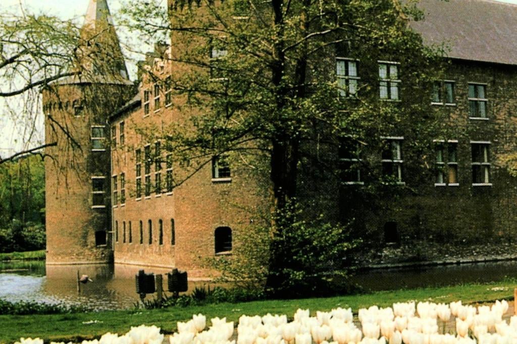 801516	Helmond	N Br Kasteel	Nette oude kaart Onbeschreven, Ophalen of Verzenden, 1960 tot 1980, Ongelopen, Noord-Brabant