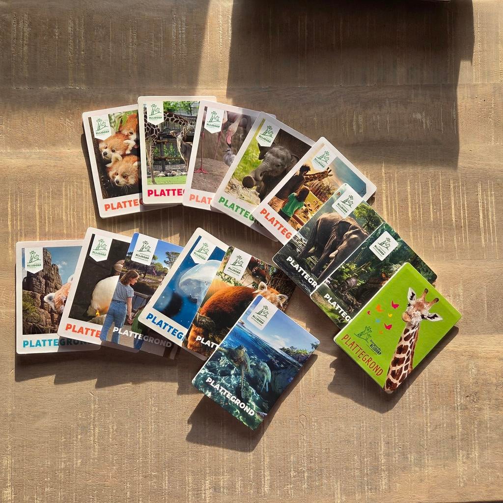 Verschillende Blijdorp plattegronden., Ophalen of Verzenden, Nieuw