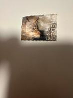 Wolf 2022, Ophalen of Verzenden