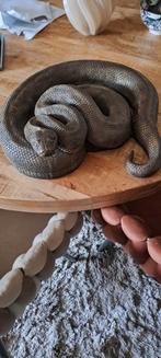 Polystone beeld van een opgerolde slang, Ophalen