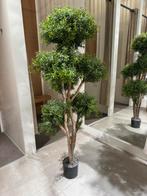 Kunstboom 1.65m - Decoratief en realistisch, Ophalen, Zo goed als nieuw, Binnen