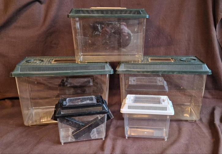 Bakken voor insecten of transport in 1 koop, Dieren en Toebehoren, Reptielen en Amfibieën | Toebehoren, Ophalen of Verzenden