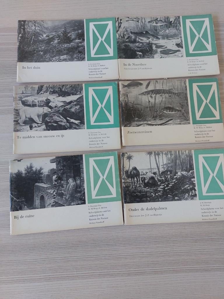 Onderwijzersboekjes bij de schoolplaten van  vroeger, Ophalen of Verzenden, Overige niveaus