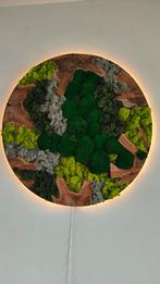 Uniek handgemaakte mosschilderijen of moscirkel, Ophalen of Verzenden, Nieuw