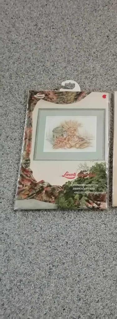 Lanarte borduurpakket, Ophalen, Nieuw, Handborduren, Borduurpakket