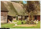 Ansichtkaart	Drenthe	Boerderij, Verzenden, 1980 tot heden, Gelopen, Drenthe