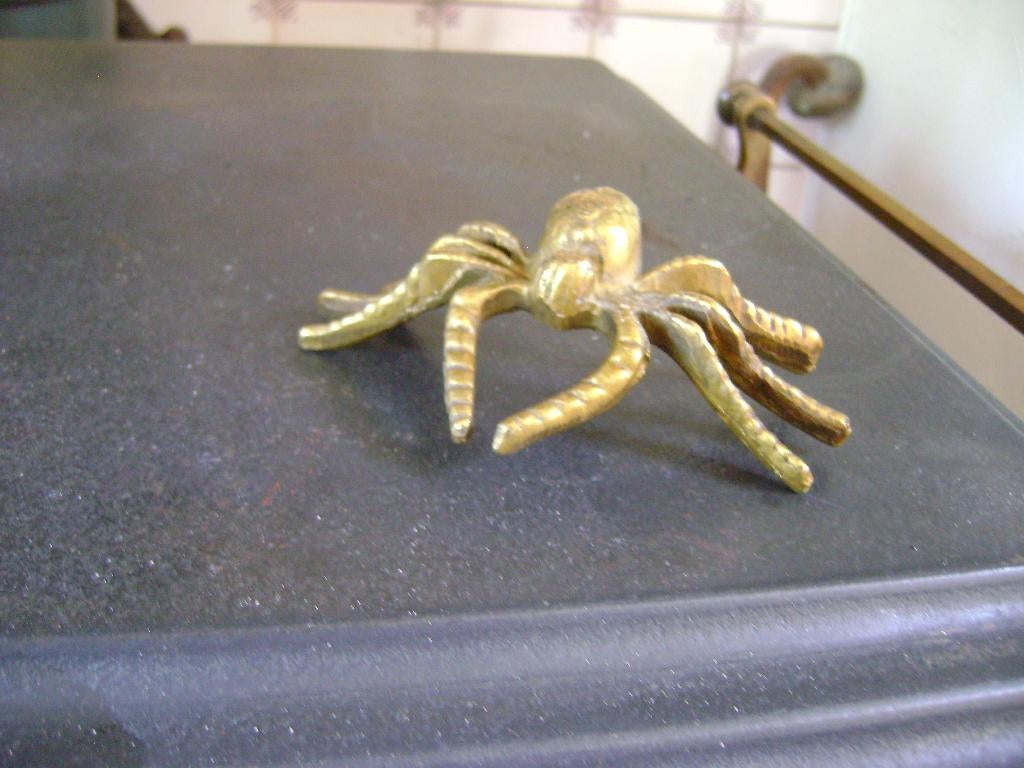 spin van koper -, Ophalen of Verzenden, Koper