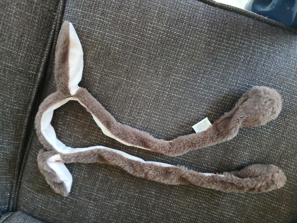 Konijnenoren Hoofdband - Perfect voor Pasen of Carnaval, Ophalen of Verzenden, Gebruikt, Hoed of Pruik, Pasen