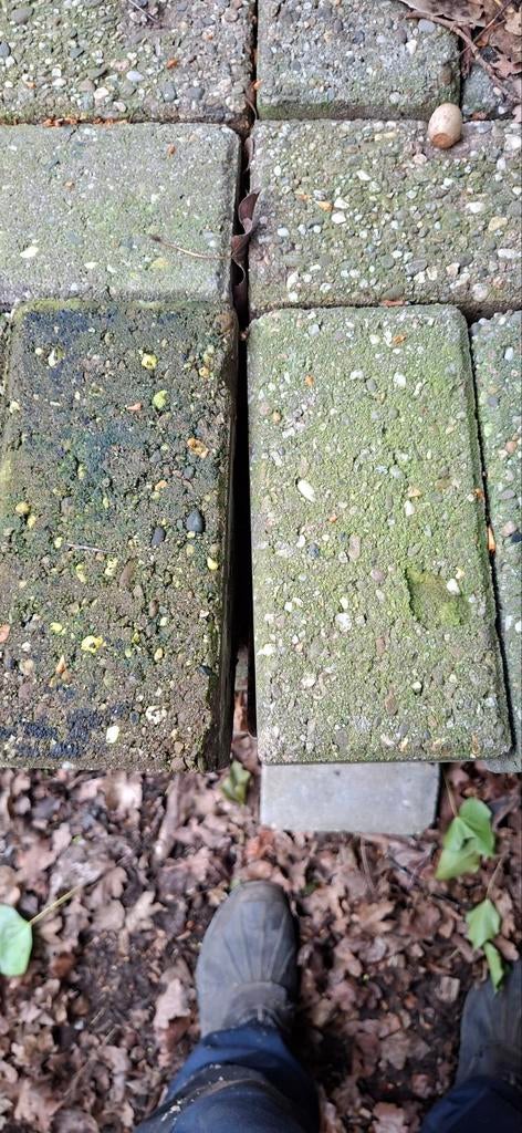 Gebruikte betonnen klinkers voor tuin of oprit gratis, Gebruikt, Klinkers, Ophalen of Verzenden, 10 m² of meer