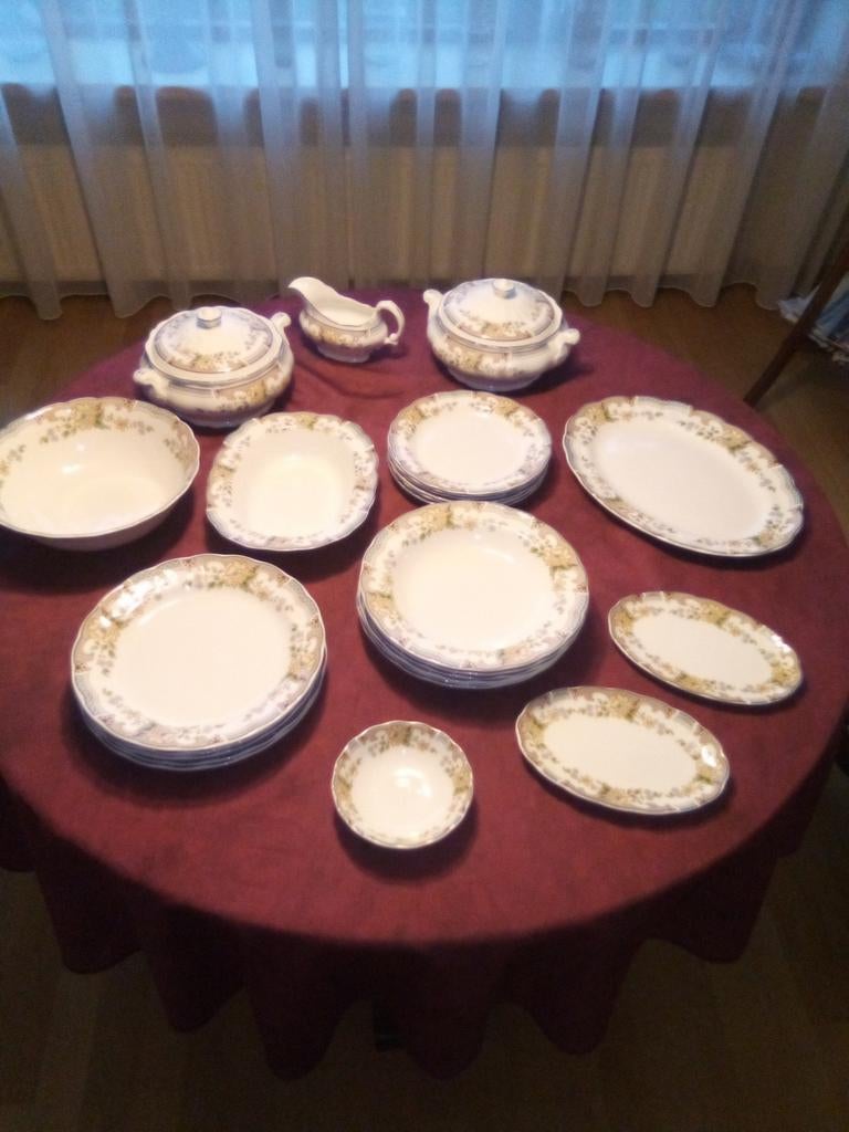 Compleet servies van Royal Doulton / Temple Garden, Ophalen