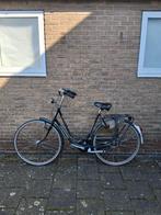 Damesfiets Gazelle 55cm Student Station Kroeg... goed genoeg, Ophalen, Versnellingen, Gazelle, 53 tot 56 cm