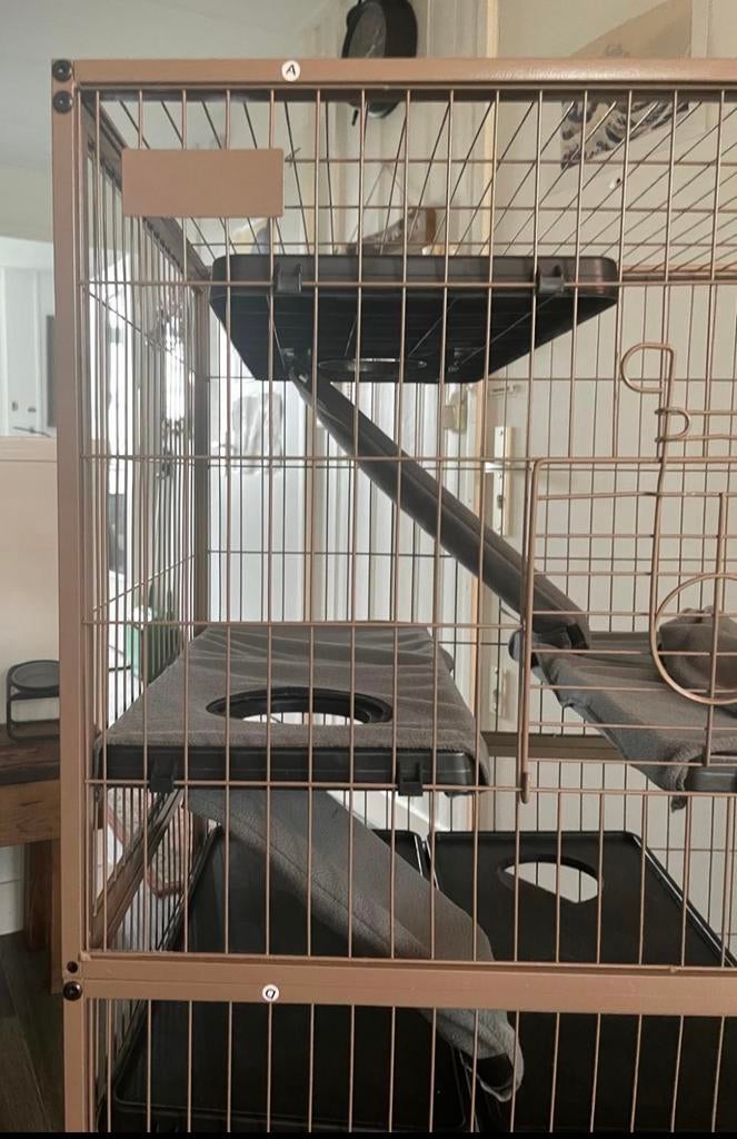 Knaagdierenkooi gebruikt voor ratten, Ophalen, Kooi, Gebruikt, 90 cm of meer