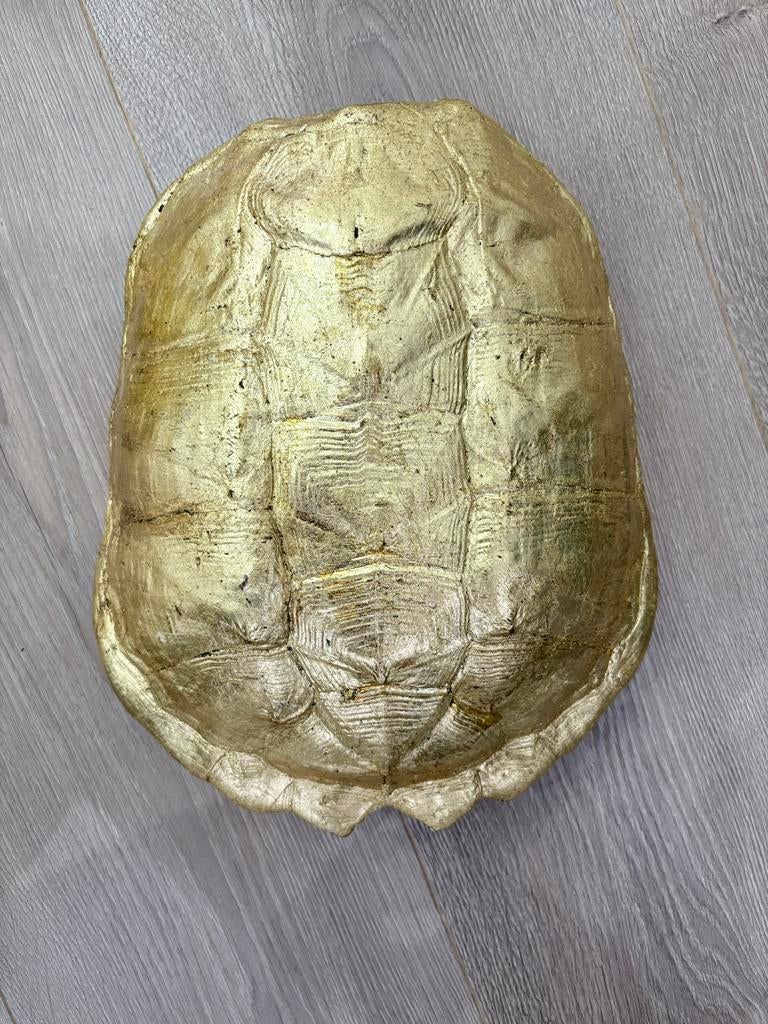 Goudkleurig schild van een schildpad, Ophalen of Verzenden
