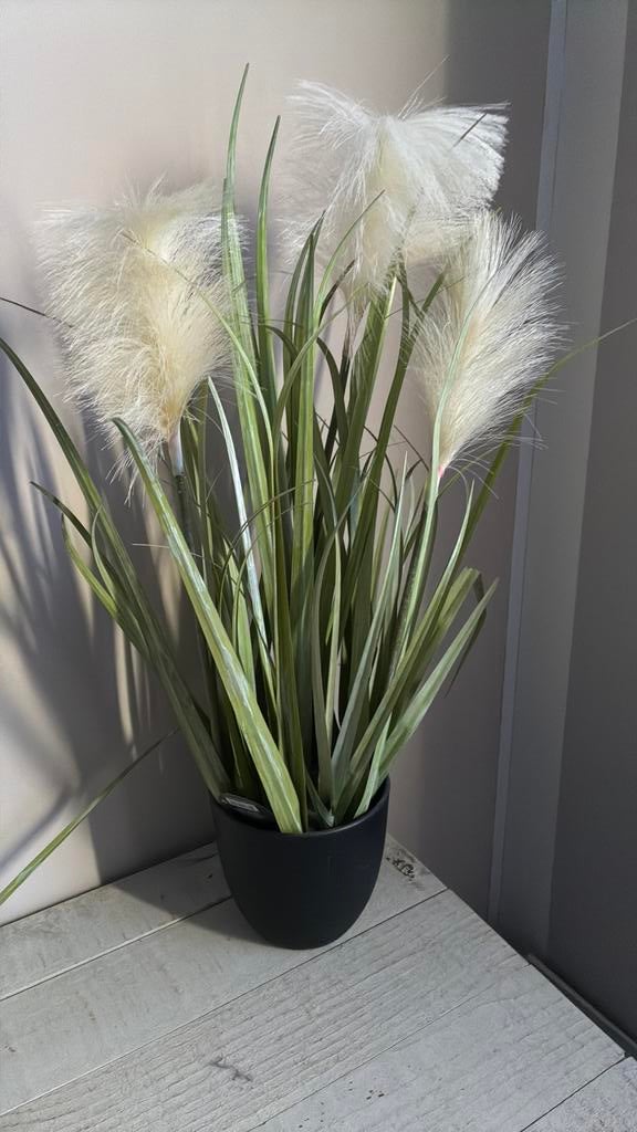 Kunst plant, Ophalen of Verzenden, Zo goed als nieuw