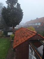 Dakpannen J Meeuwissen uit 1955 - ca. 24m², Ophalen, Gebruikt, Steen of Klei, 15 m² of meer