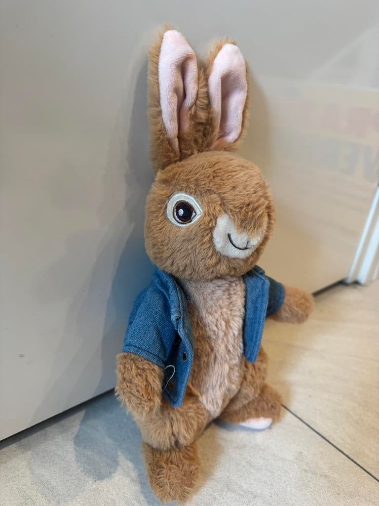 Pieter Konijn, Ophalen of Verzenden, Zo goed als nieuw, Konijn