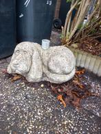 Parasolvoet hond, Ophalen, Metaal