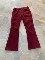 Scotch & Soda 'The Charm' bordeaux corduroy broek, Kleding | Dames, Maat 38/40 (M), Ophalen of Verzenden, Zo goed als nieuw, Lang