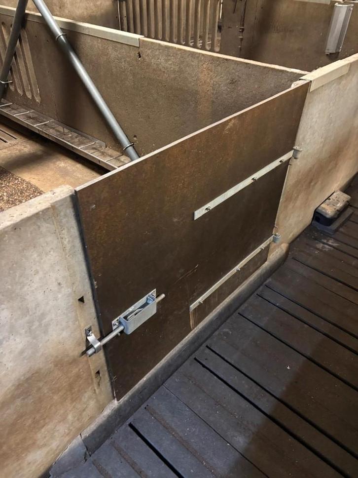 Trespa deurtjes [247], Dieren en Toebehoren, Schapen, Geiten en Varkens, Schaap, Vrouwelijk