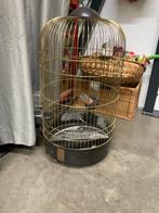 Vogelkooi  grote kooi parkiet papegaai, Gebruikt, W, Ophalen of Verzenden, Metaal