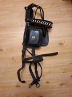 Men hoofdstel paard, Ophalen of Verzenden, Overige soorten