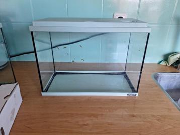 Aquarium beschikbaar voor biedingen