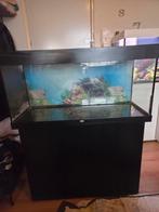 Aquarium Juwel RIO 180, Dieren en Toebehoren, Ophalen, Gebruikt, Leeg aquarium